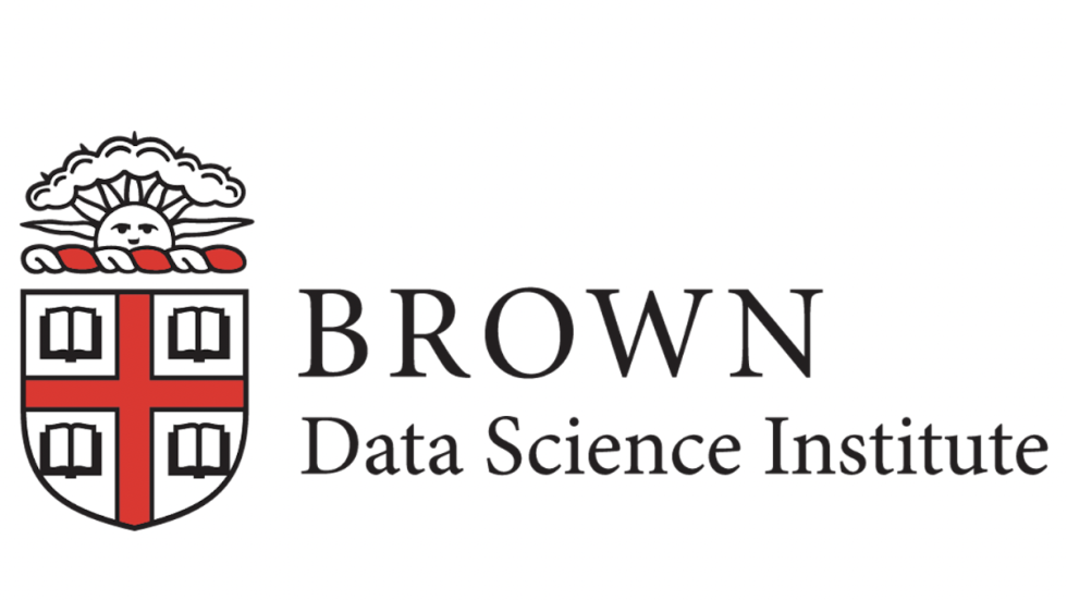Brown DSI Logo