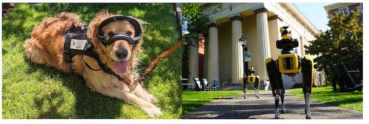 two photos: a dog wearing movement tracking equipment, and a robot