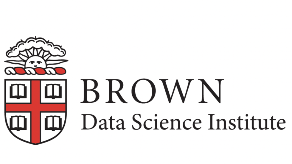 Brown DSI Logo